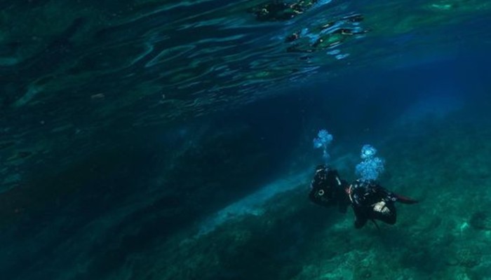 Local Charter Vessel Incident Involving Foreign Divers