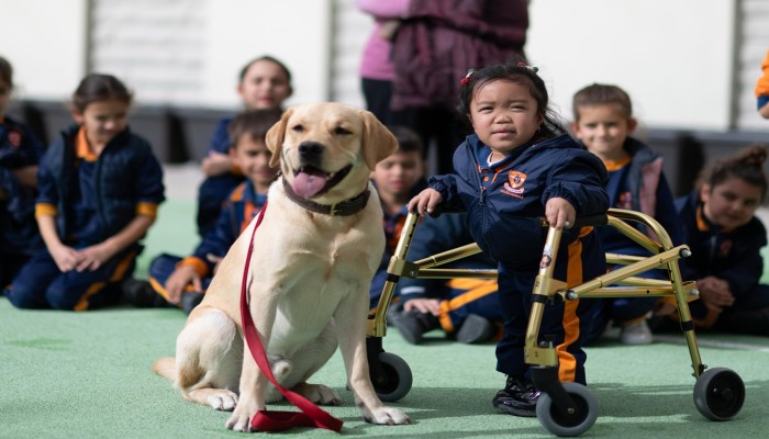 Service Dog Awareness Campaign Launched in Maltese Schools